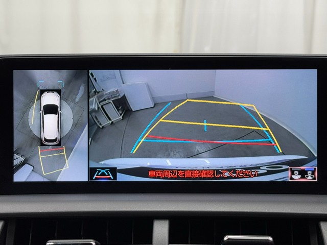 レクサス NX300h F SPORT