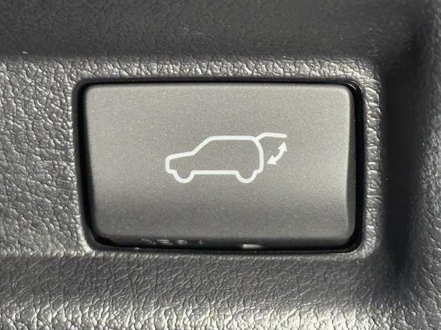 レクサス UX250h F SPORTEmotio