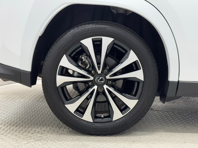 レクサス UX250h F SPORTEmotio