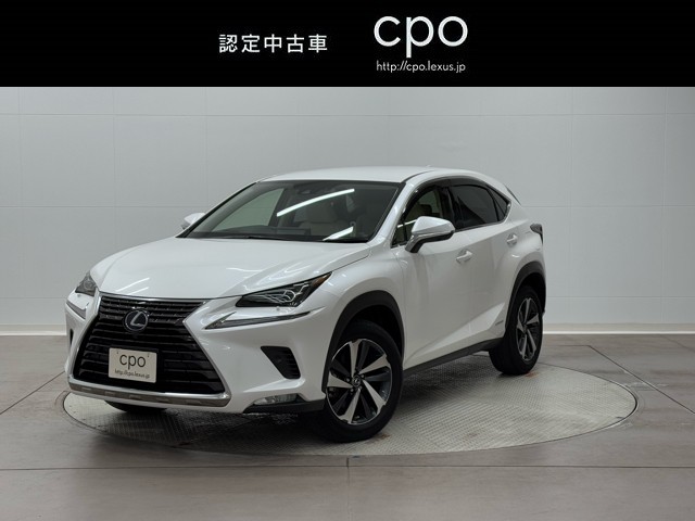 NX300h Iパッケージ