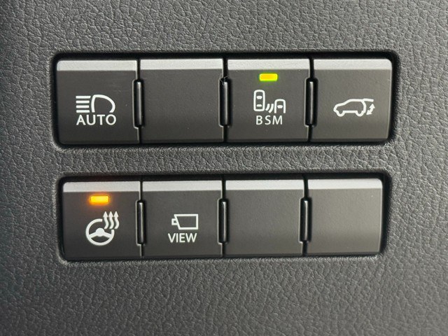 レクサス NX300 Spice&Chic