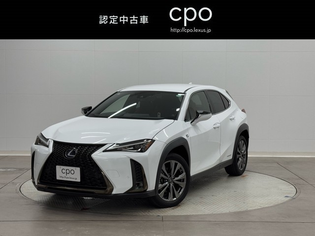 UX250h F SPORT