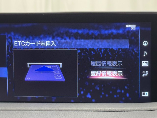 レクサス RX300 F SPORT