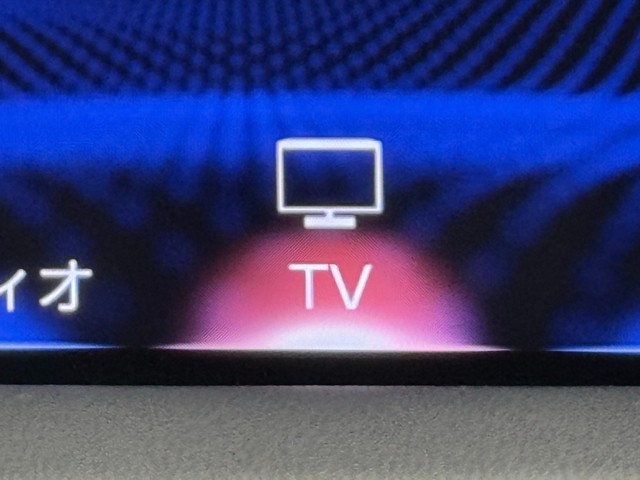 レクサス RX300 F SPORT