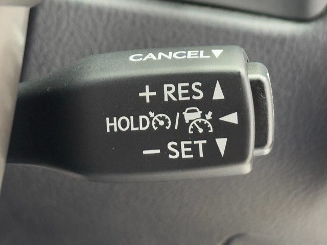 レクサス RX300 F SPORT