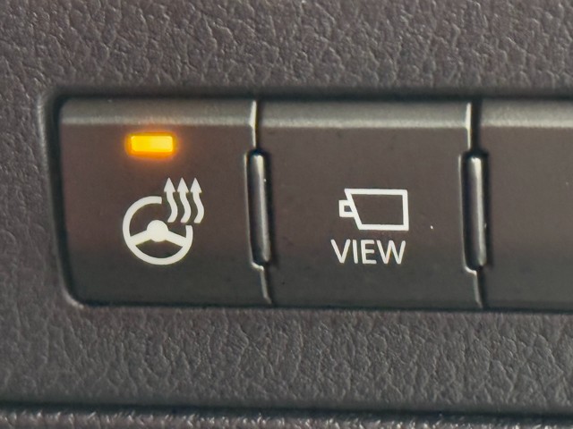 レクサス RX300 F SPORT