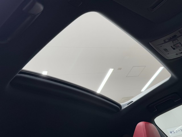 レクサス RX300 F SPORT