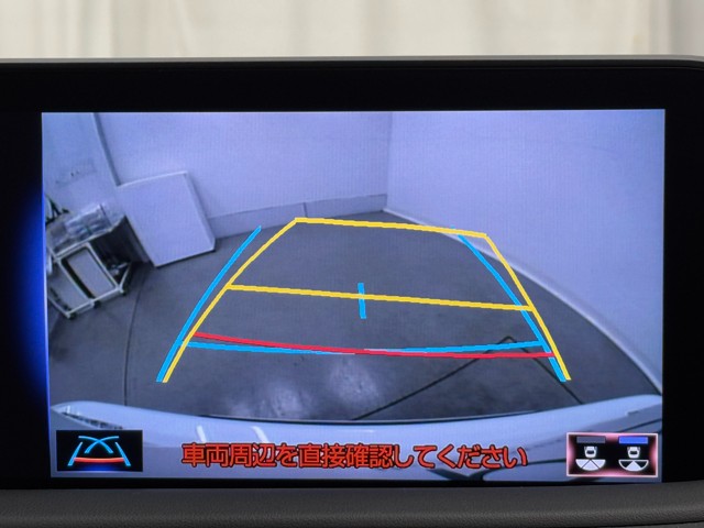 レクサス RX300 F SPORT