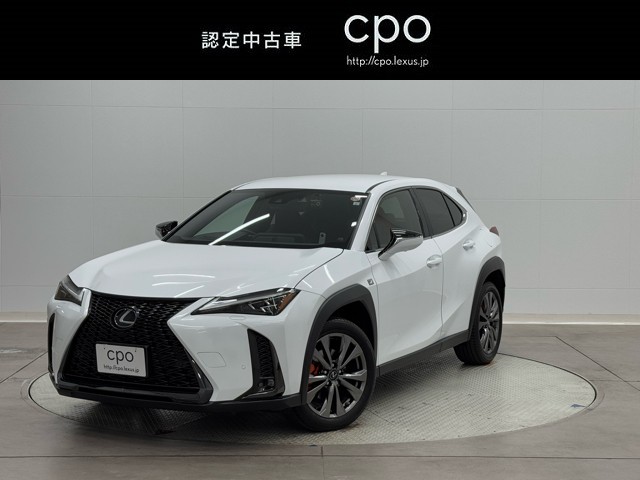 UX250h F SPORT