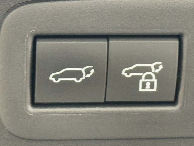 レクサス UX250h F SPORT