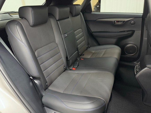 レクサス NX300h Cool&Bright