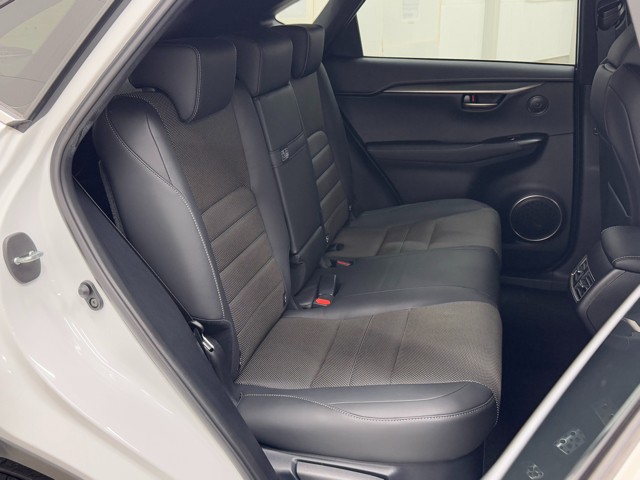 レクサス NX300 Fスポーツ