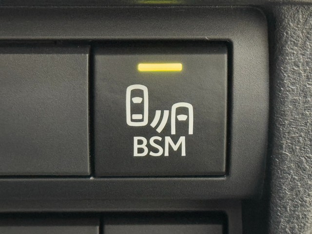 レクサス RC F カーボンエクステリアPKG