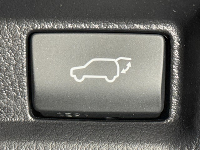 レクサス UX300e バージョンC