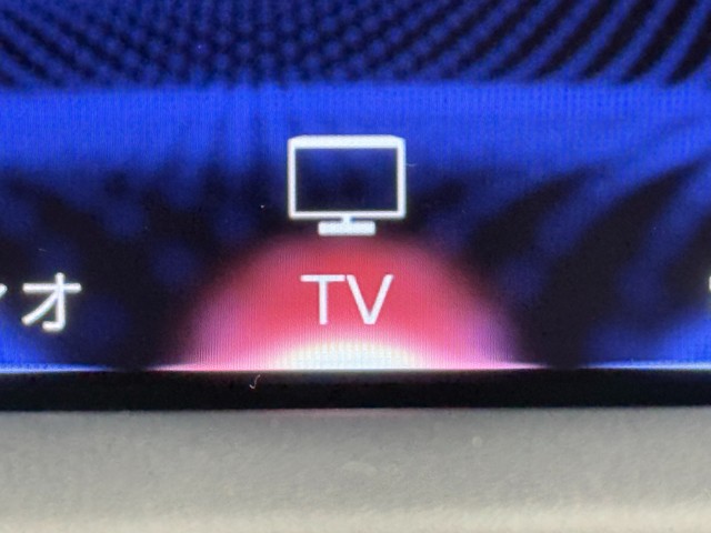 レクサス RX300 F SPORT