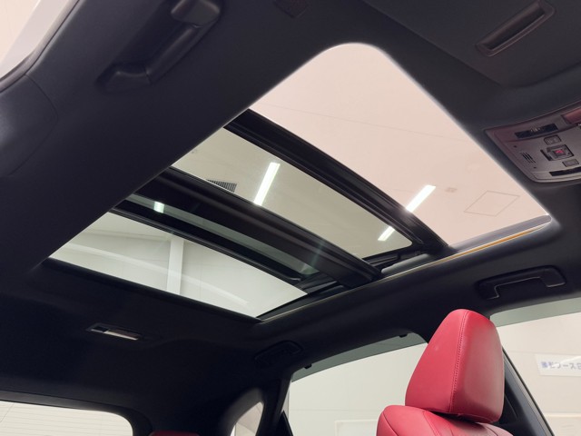 レクサス RX300 F SPORT