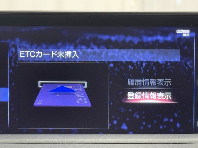 レクサス RX300 F SPORT