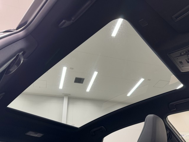 レクサス NX300 Spice&Chic