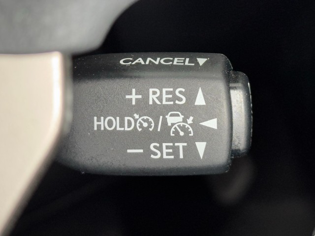 レクサス NX300 Spice&Chic