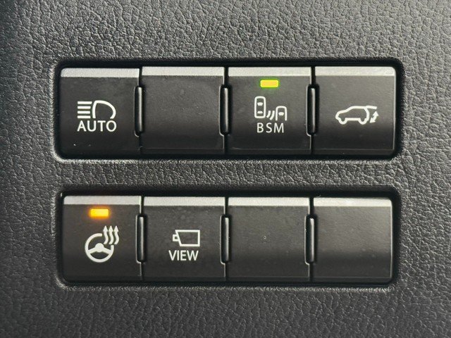 レクサス NX300 Spice&Chic