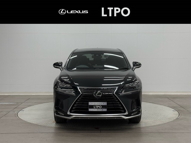 レクサス NX300 Spice&Chic