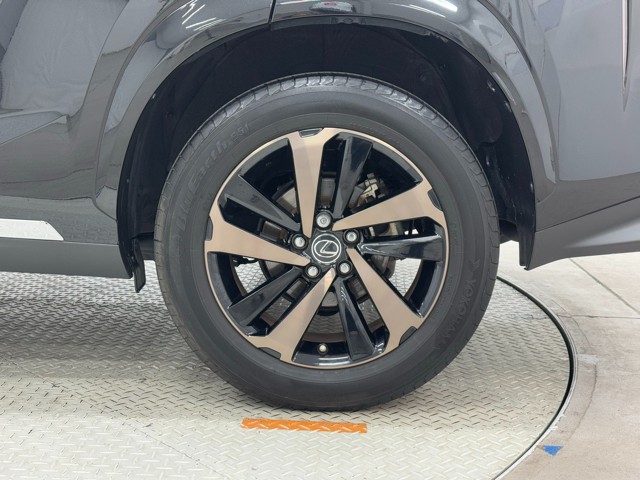 レクサス NX300 Spice&Chic