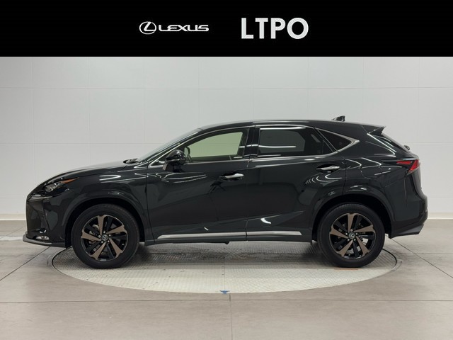 レクサス NX300 Spice&Chic