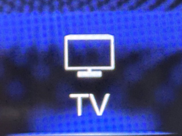 レクサス IS300 FSPORT MODEブラ