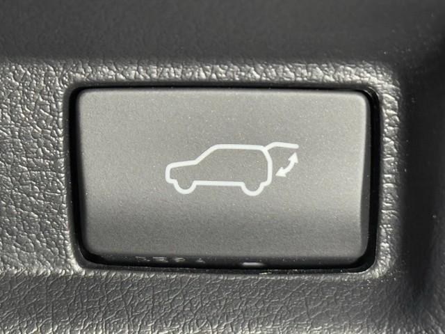 レクサス UX250h VER C