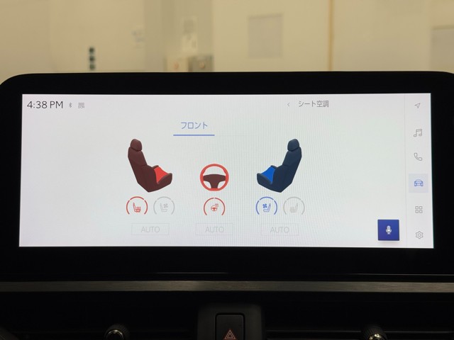 レクサス UX250h F SPORT EmoEX