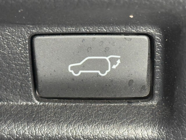 レクサス UX250h F SPORT EmoEX