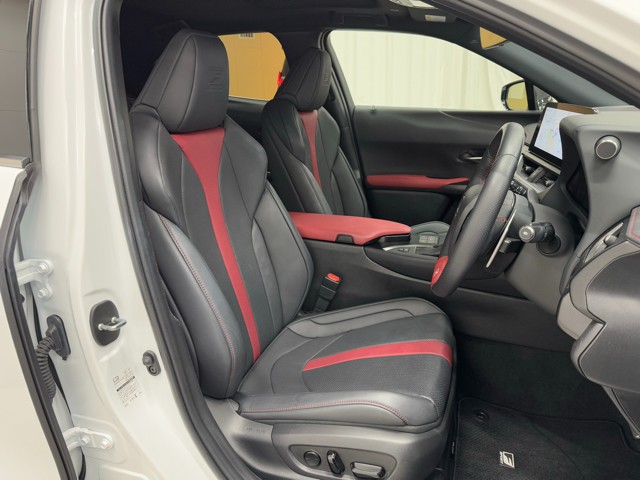 レクサス UX250h F SPORT EmoEX