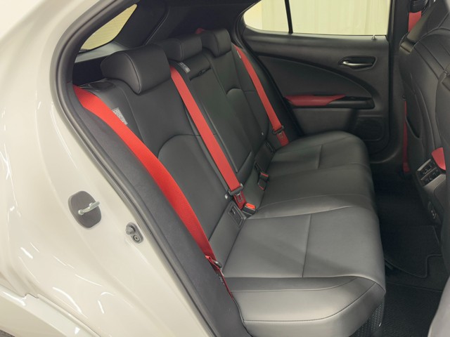 レクサス UX250h F SPORT EmoEX