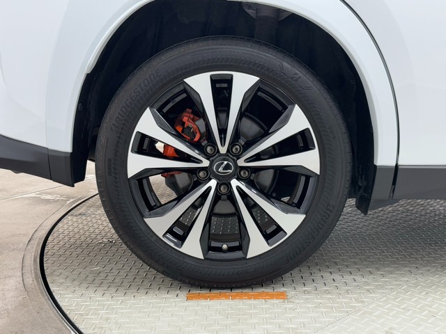 レクサス UX250h F SPORT EmoEX