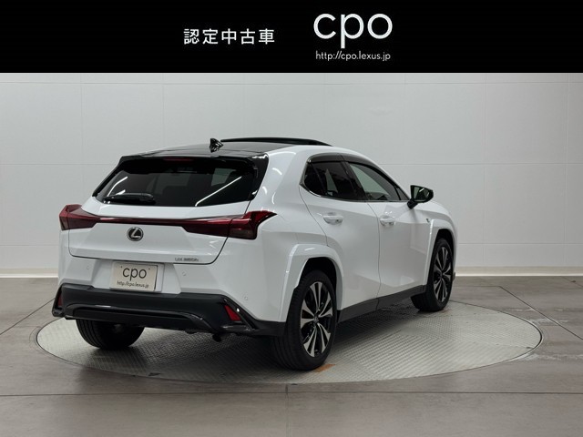 レクサス UX250h F SPORT EmoEX