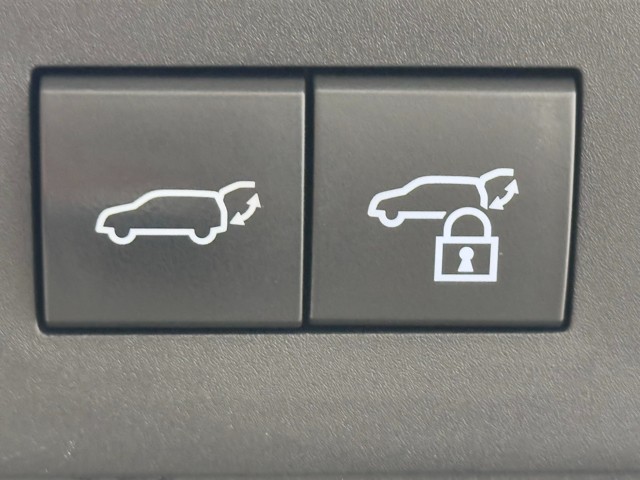 レクサス NX250 VER L