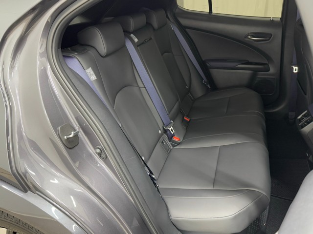 レクサス UX250h Fスポーツスタイルブル