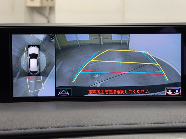 レクサス UX250h Fスポーツスタイルブル