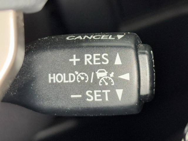 レクサス NX300h IーPKG