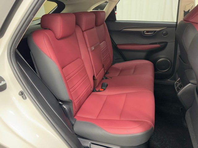 レクサス NX300h IーPKG