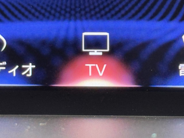 レクサス NX300 Spice&Chic