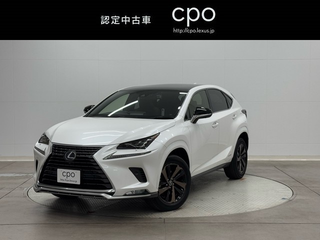 NX300h スパイス&シック