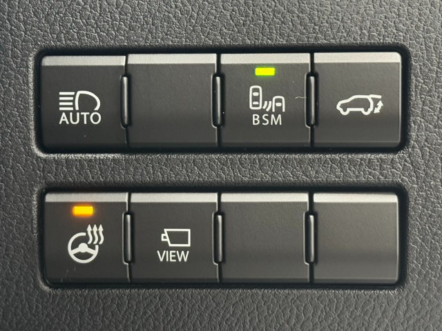 レクサス NX300h スパイス&シック