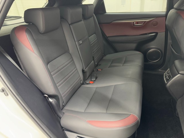 レクサス NX300h スパイス&シック