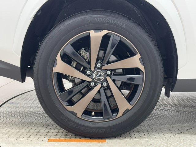 レクサス NX300h スパイス&シック