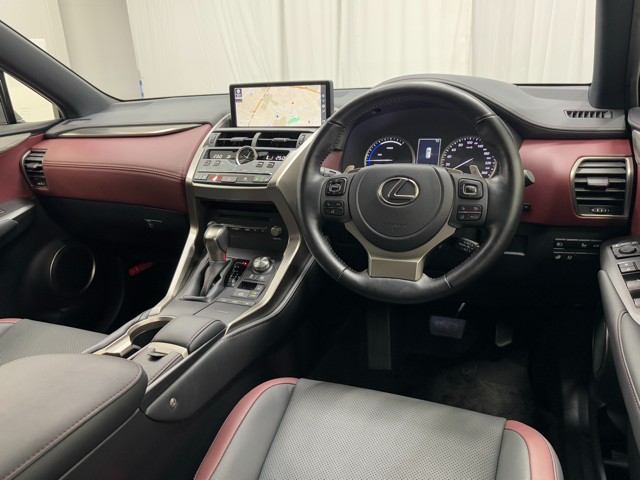 レクサス NX300h スパイス&シック
