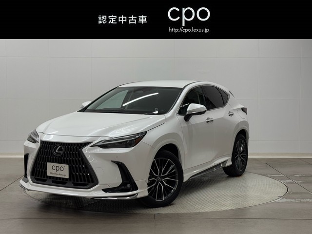 NX350h Ver-L