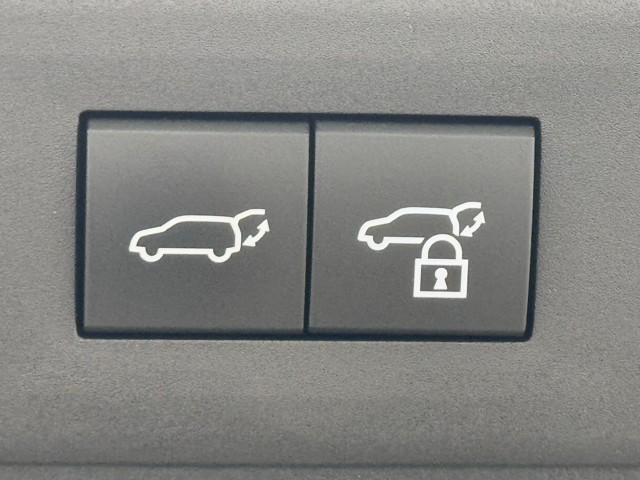 レクサス NX250