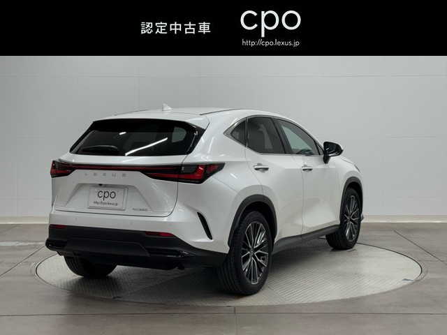 レクサス NX250