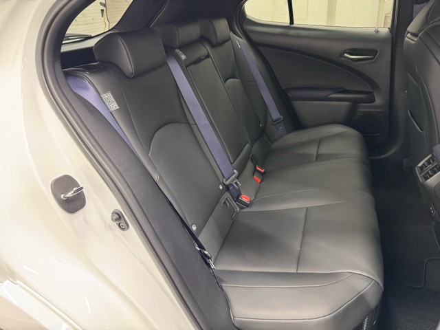 レクサス UX250h FSPORTStyleBl